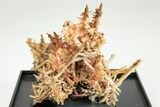 Needle-Like Gibbsite Coated Crocoite Crystals - Tasmania #206951-2